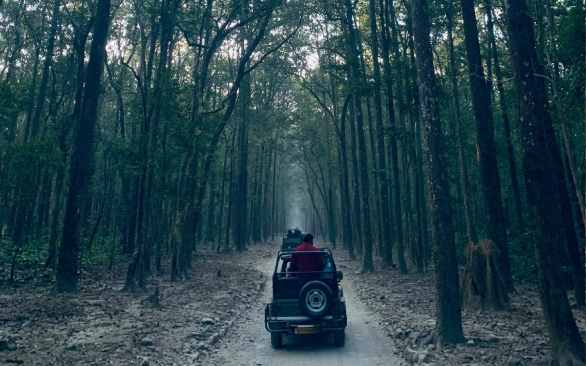 Delhi to Corbett Weekend Tour