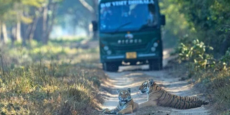 Canter Safari Experience