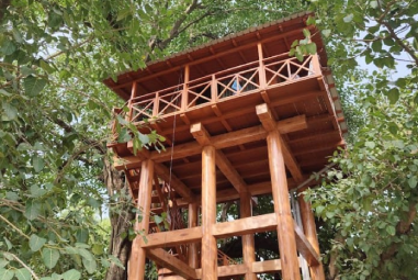 Phato Forest Zone / Forest Lodge / Forest Rest House